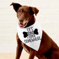 Dog bandana - treat o’clock image 0