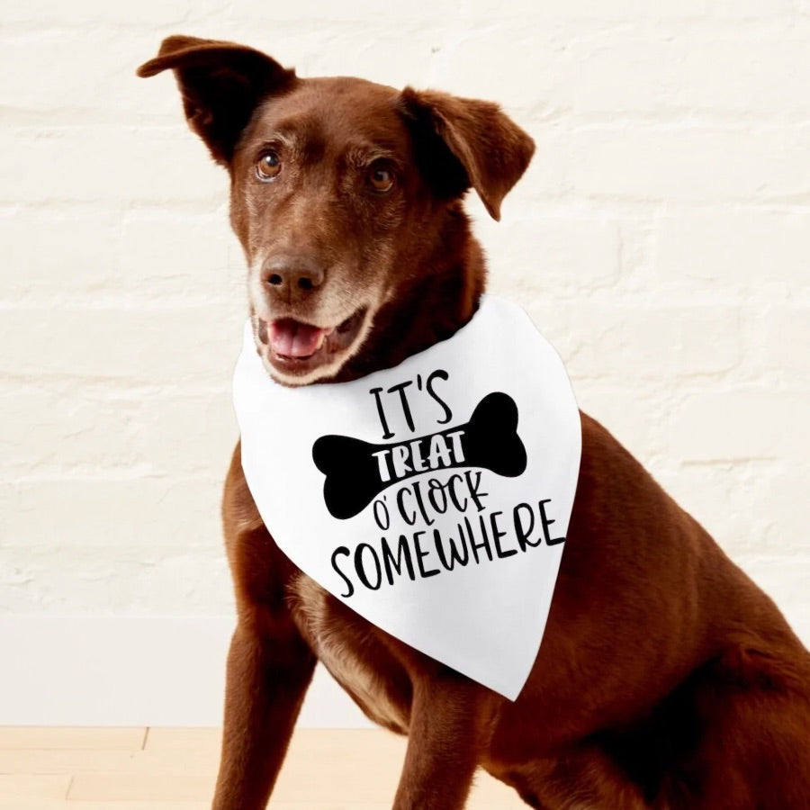 Dog bandana - treat o’clock image 0